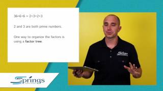 Spring into Math 5 Chapter 6 Lesson 3