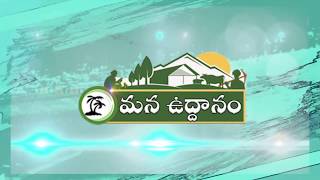 Mana Uddanam Channel Promo || Uddanam || Mana Uddanam Telugu Live Channel screenshot 5