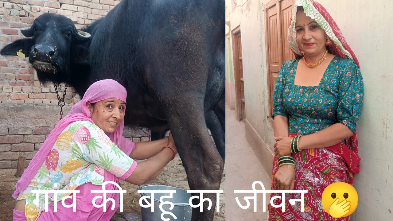 गांव की बहू का जीवन 🫢 || Buffalo Milking By Hand|| Cow Milking Vlog|| Village Life||Desi Jivan