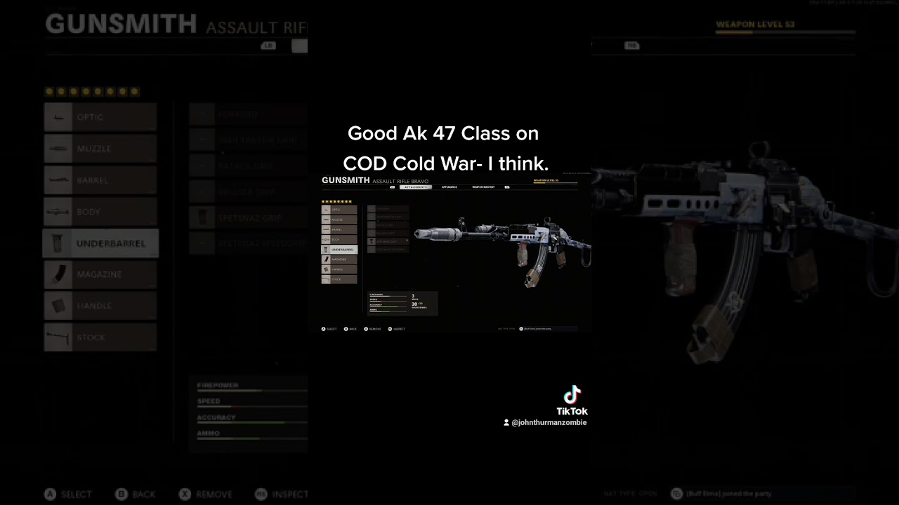 COD Cold War Ak-47 Class