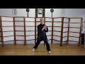 Wing chun kung fu   les postures leon 1