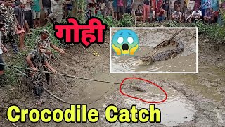 माछा पोखरिमा गोहि  Crocodile Catch || Vlog Video || Krishna Pant Entertainment