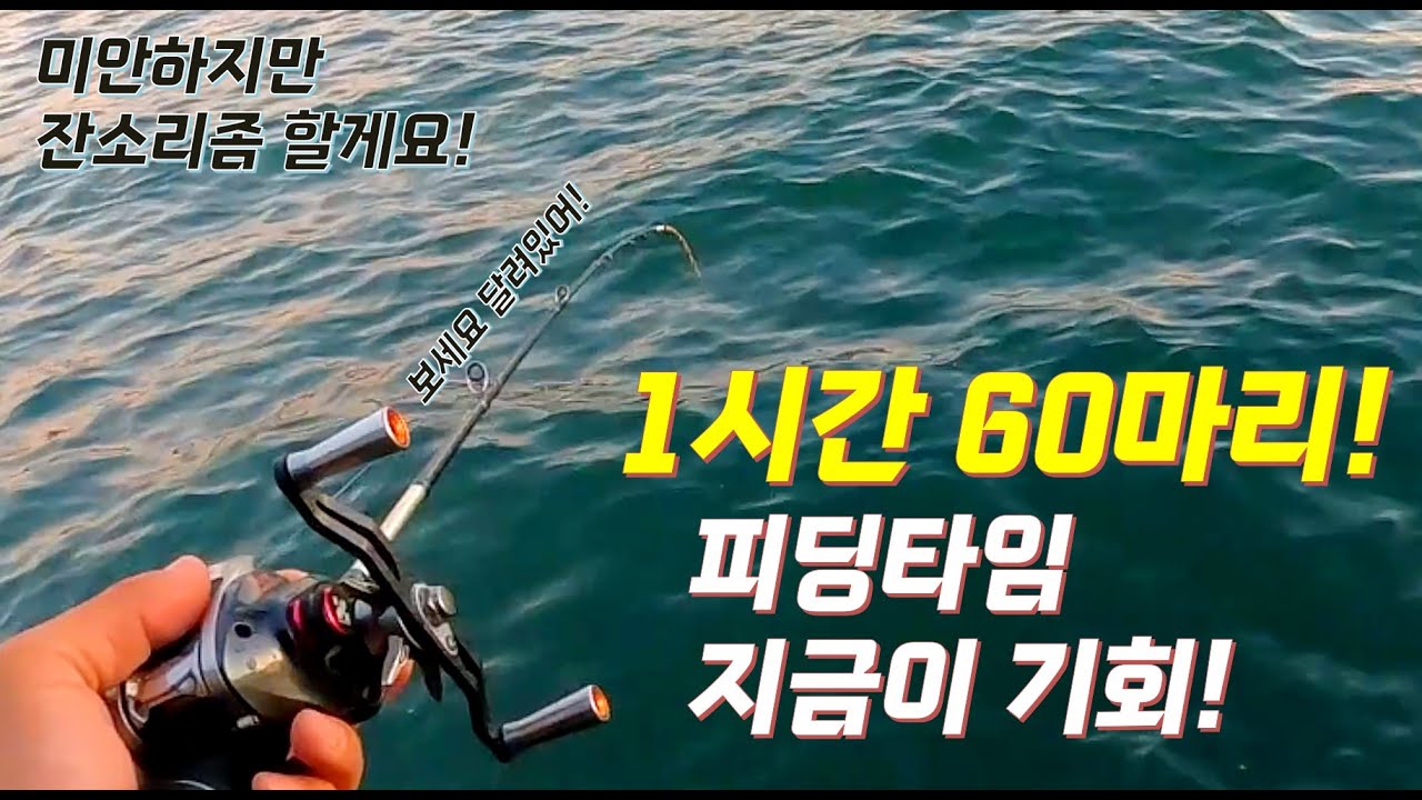 주꾸미 낚시 조과차이가 점점 나는 이유! 방법이 틀리면 바꿔야합니다.