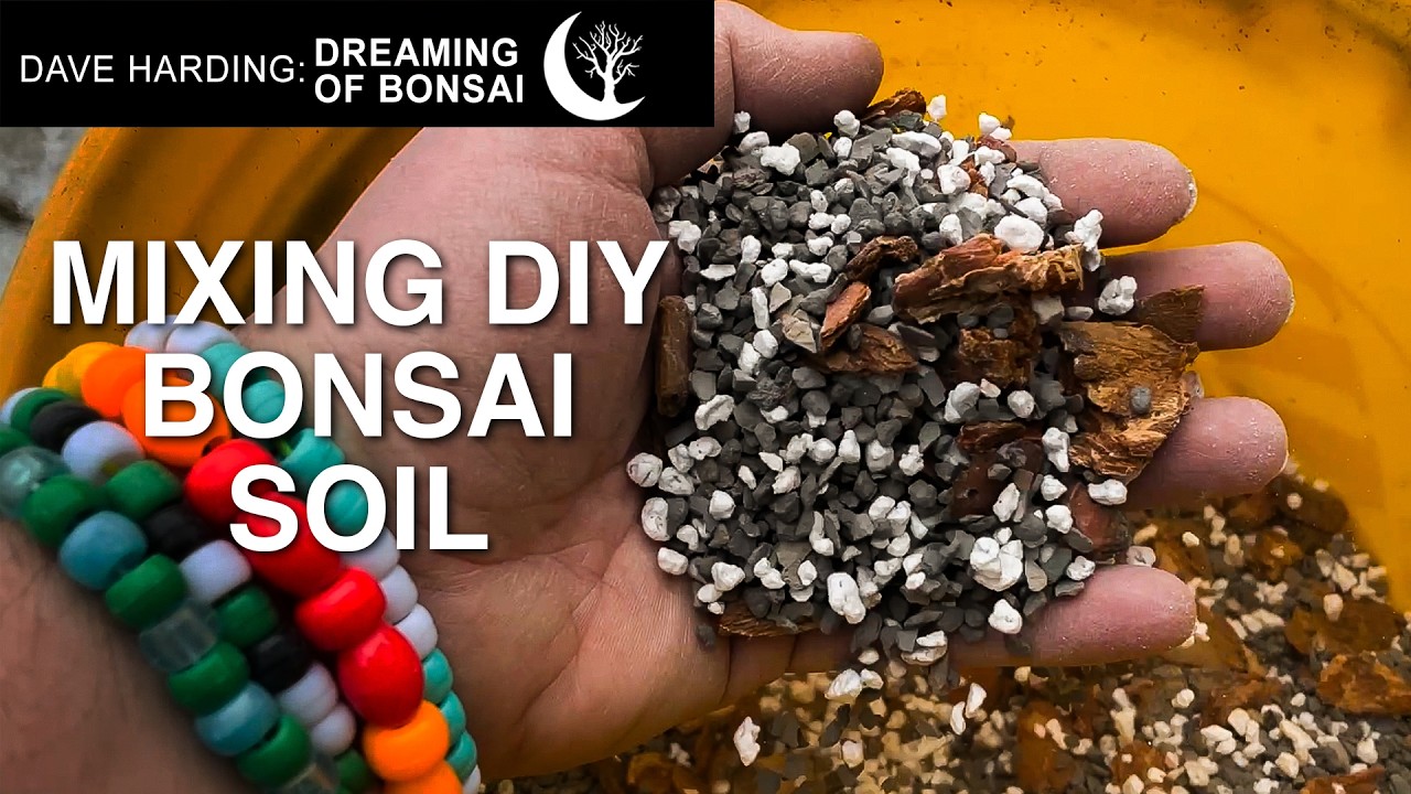 Как я смешиваю почву для бонсай, февраль 2026 г.
