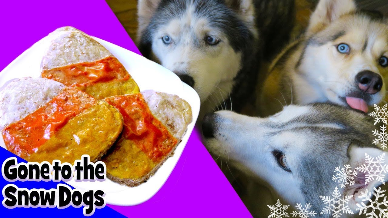 DIY CANDY CORN DOG TREATS Snacks with the Snow Dogs 38 Halloween