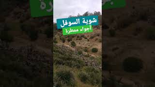 الجري في الشتاء يا سلاااام  #رياضة #الركض #الجري