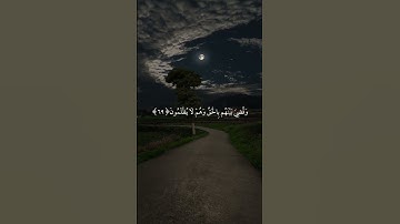 سورة الزمر|69-70|القارئ:#محمد_اللحيدان #قران #quran #راحة_نفسية #قران_كريم #تلاوة #تلاوة_هادئة #آية