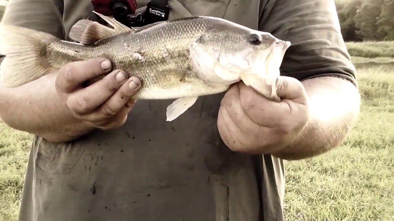 MTB Slam For July 2017 