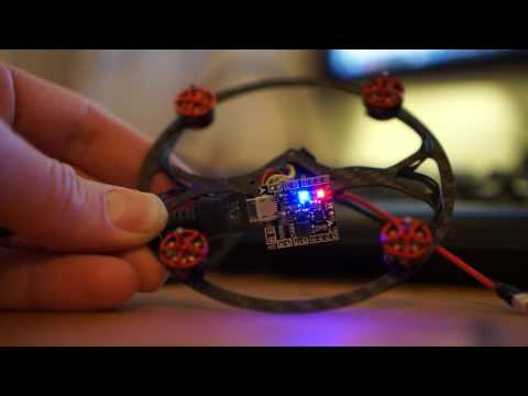 pepperF1SH testing with