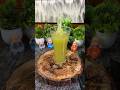 Healthy Sugarcane Juice #shorts #shortsfeed #juice #trending