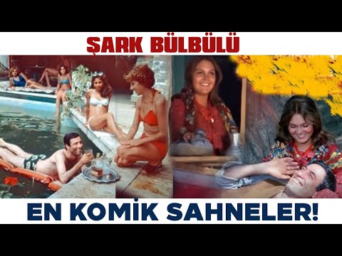 Şark Bülbülü En Komik Sahneler! Kemal Sunal Filmleri