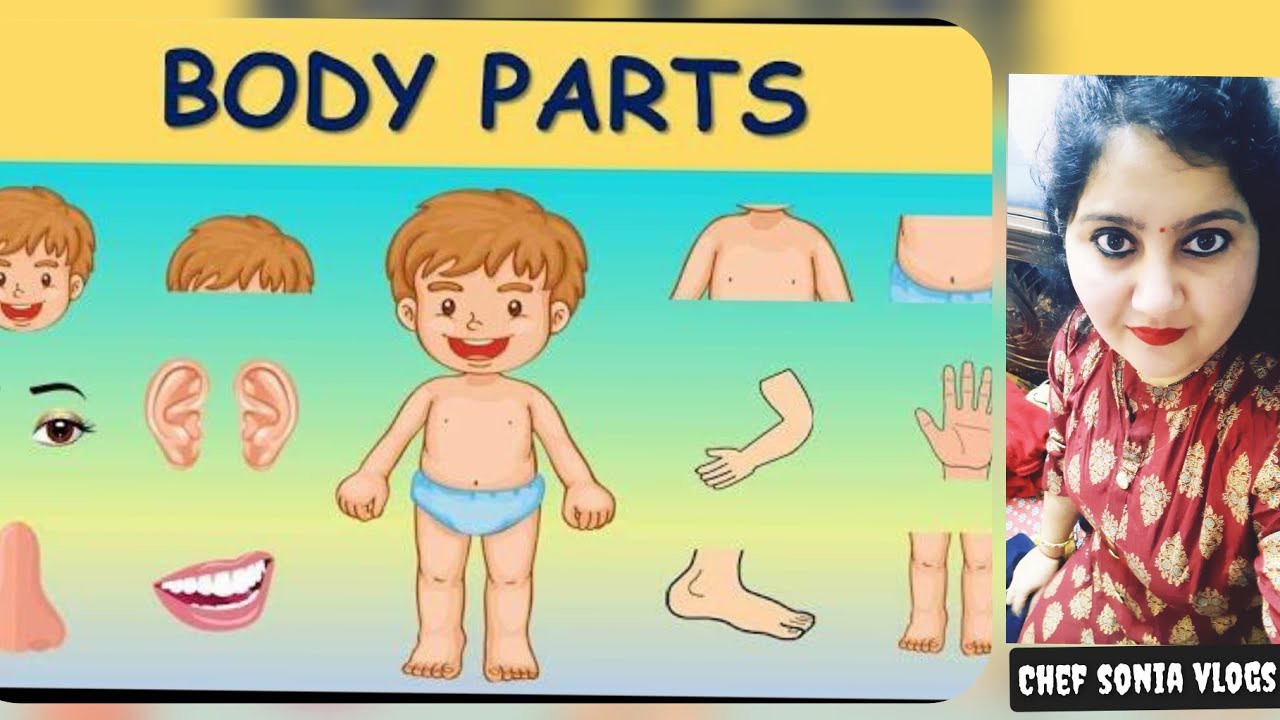 Body Parts Parts of body My BodyLearn body parts Human Body parts