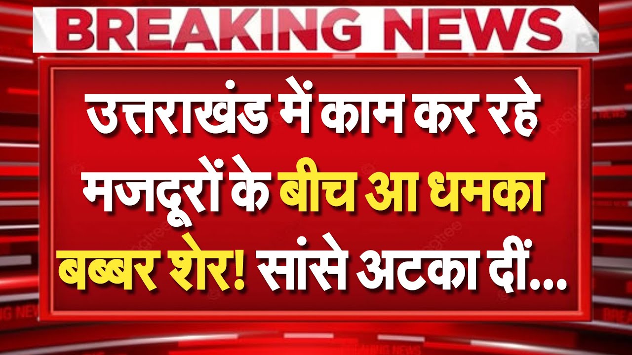 Uttarakhand में मजदूरों को नहीं मिली छुट्टी...तो आ गया बब्बर शेर!, सांसे रोक देने वाला वीडियो