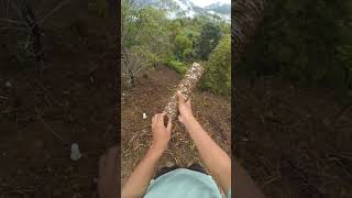 natural beauty #gardening #mountains #shorts