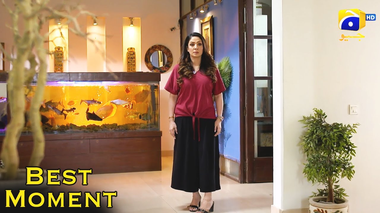 Nikah Episode 17 | 𝐁𝐞𝐬𝐭 𝗠𝗼𝗺𝗲𝗻𝘁 𝟎𝟓 | Haroon Shahid | Zainab Shabbir | HAR PAL GEO