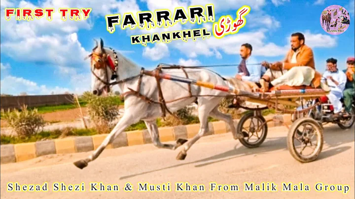 Ferrari  KhanKhel Ghori Try || Farrari Horse Race || #shughalmela #horse #race