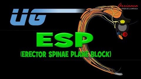 The ESP (erector spinae plane) Block - Our Current Understanding