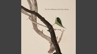 The Next Millennia of Sa Tanca Manna