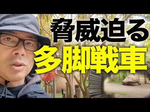 ジョネさんぽオーストラリア⑨巨大な多脚戦車に遭遇！？デカすぎてちょっとビビってます