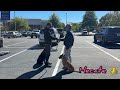 Woodbridge Dog Trainers | puppy training | crate training | reactive dog obedience school | OBKS 