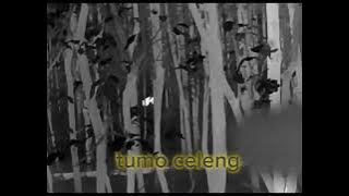 Sanggong babi hutan di jalan peninggalan Belanda eps9 #babihutansuperterpantau#biggame