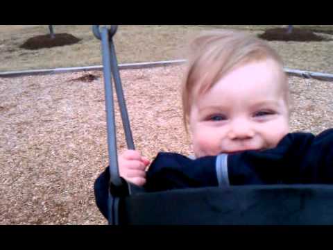 Bryce - various