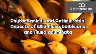 Phytochemical and Antimicrobial Aspects of Wild Musa balbisiana and Musa acuminata