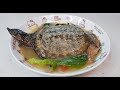 家常菜 滋补汤【甲鱼汤】【Soft Shell Turtle Soup】营养价值非常高