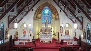 Our Lady of Ostrabrama: 8:00am Mass -  Pentecost Sunday 5/24/2026