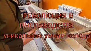 РЕВОЛЮЦИЯ В ПЧЕЛОВОДСТВЕ, УМНАЯ КОЛОДА, уникальная колода. подробно.