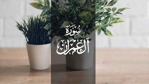 أواخر آل عمران | تلاوة رائعة للقارئ أبي بكر الشاطري 1433 هـ