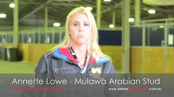 Annette Lowe of Mulawa Stud speaks on Alchimia's r...