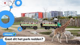 Dierentuin Wildlands Krijgt 18 Miljoen Van Gemeente