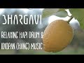 Bhargavi - Relaxing Hapi Drum &amp; Idiopan (Hang Drum) Music  - Landscape Nature Scenes 1080p HD