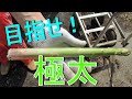 アスパラガス農家　私ならこう植える　2021/12
