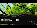 Musique Apaisante Et Calme Pour Méditer Se Détendre Se Relaxer Calmmusic Meditation Calm Musique Apaisante Et Calme Pour Méditer Se Détendre Se Relaxer Calmmusic Meditation Calm