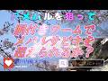 尺メバルを狙って胴付きワーム4本針でサビキを超えられるか?#メバルサビキ#船釣り