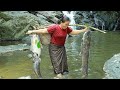 Survival in the rainforestfound big murrel fish with mushroom for cook  give to pets