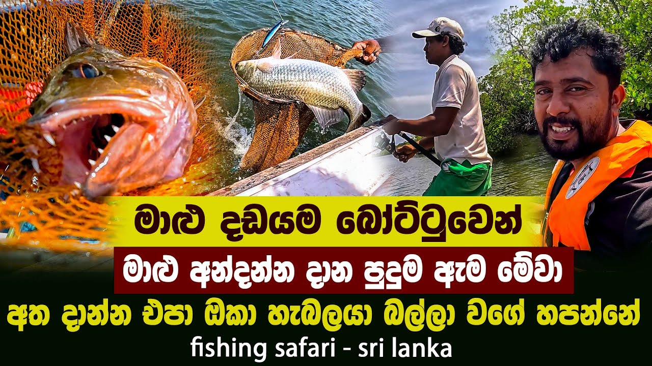 මාළු   දඩයම බෝට්ටුවෙන් | Amazing fishing safari sri lanka | මාළු අන්දන පුදුම ඇම මේවා | fishing