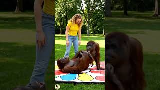 Epic Funny Moments: Watch Once, Laugh for 7 Days#baby #cute #funny #gorillatag  #shorts #video
