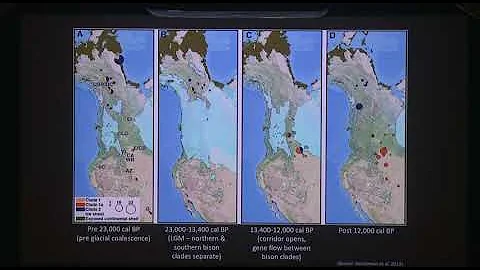 June 2019 From Shore to Sea Lecture: Earliest Human Migrations to North America - DayDayNews