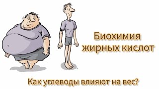 Биохимия жирных кислот.