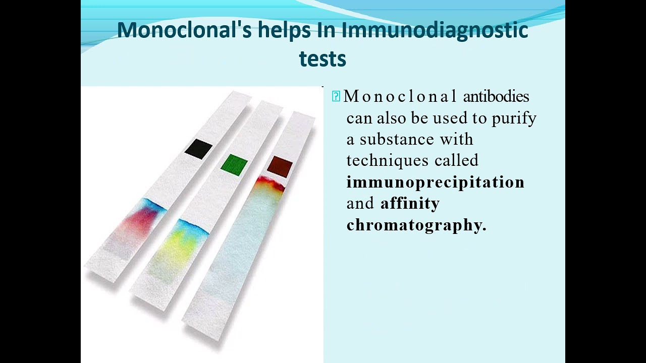 monoclonal antibodies (MALAYALAM) YouTube