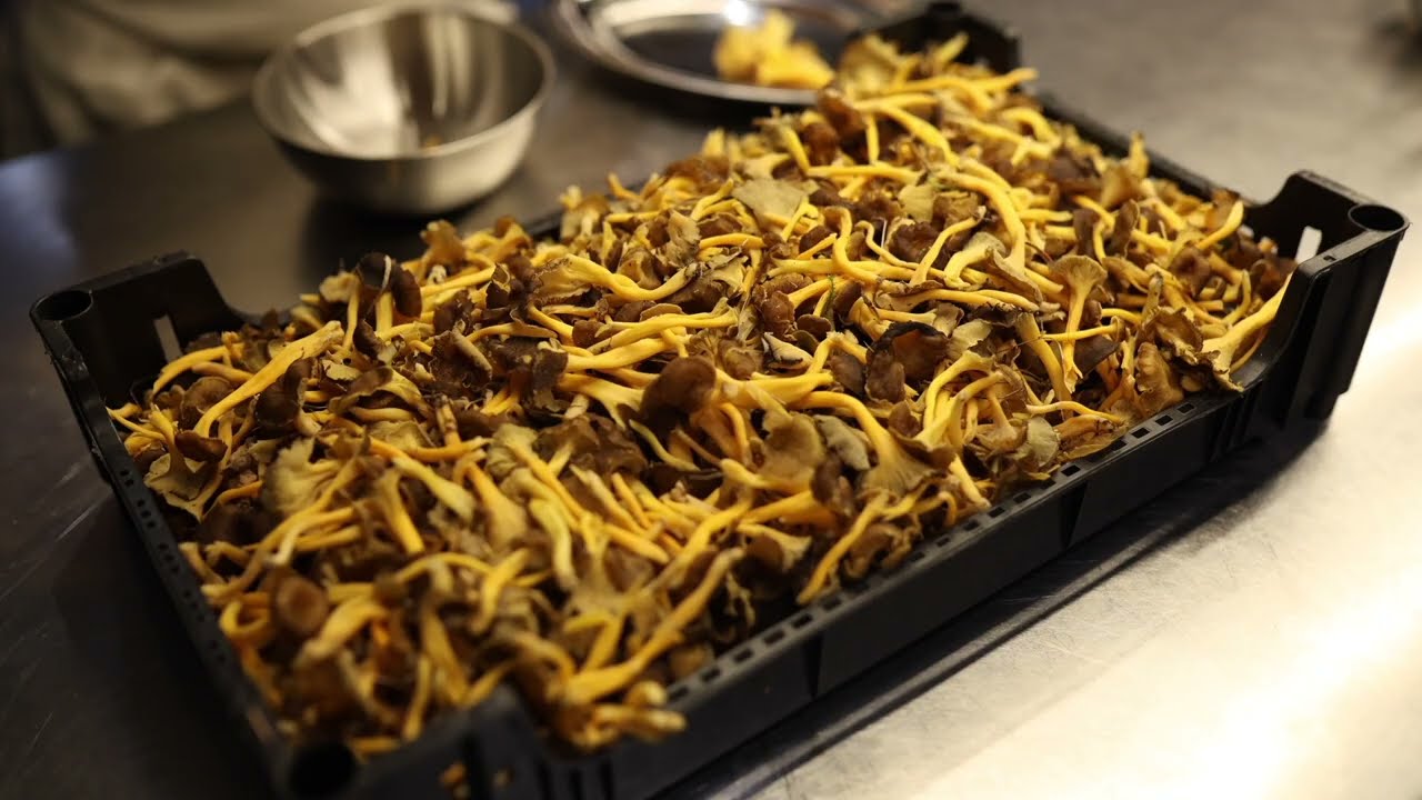 Revuelto de camagrocs con panceta ibérica Maldonado | Bar Cañete