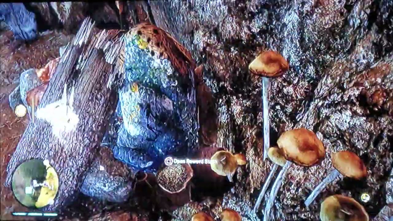 TAKKARS CAVE UPGRADE ONE(PRIMAL WITH AX860)