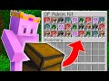 Minecraft Manhunt, But There Are Kits FINALE