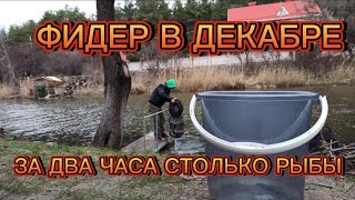 БЕШЕНЫЙ КЛЁВ НА ФИДЕР ЗИМОЙ