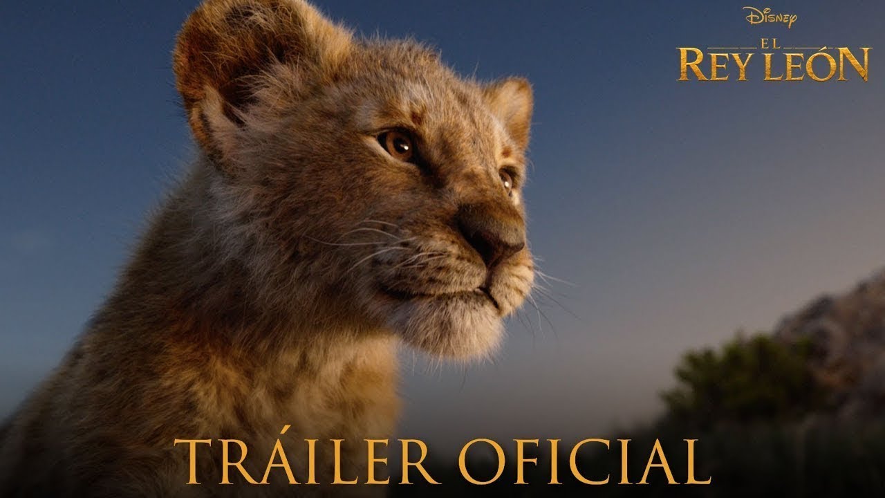 El Rey Leon 2019 Pelicula Completa En Español Youtube
