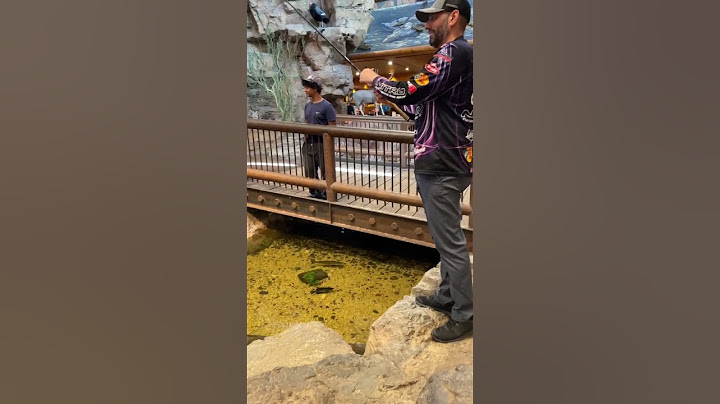 EPIC Fishing INSIDE Bass Pro Shops!!