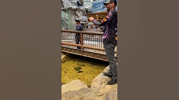 EPIC Fishing INSIDE Bass Pro Shops!!